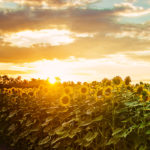 For the record, July was a hot month once again