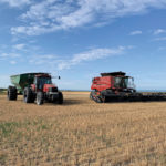 Crop yields on Robert Brunel’s fields, near Ste. Rose du Lac, have been well below average so far.
