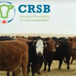 Backers of the certified sustainable beef program are urging more producers to sign up as demand exceeds supply.