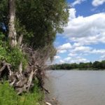 The Red River in southern Winnipeg.