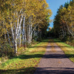 Bezte: Cool summer, cool fall?