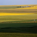 A host of factors such as blows to commodity prices, global trade uncertainty and weather challenges have impacted farmland values.