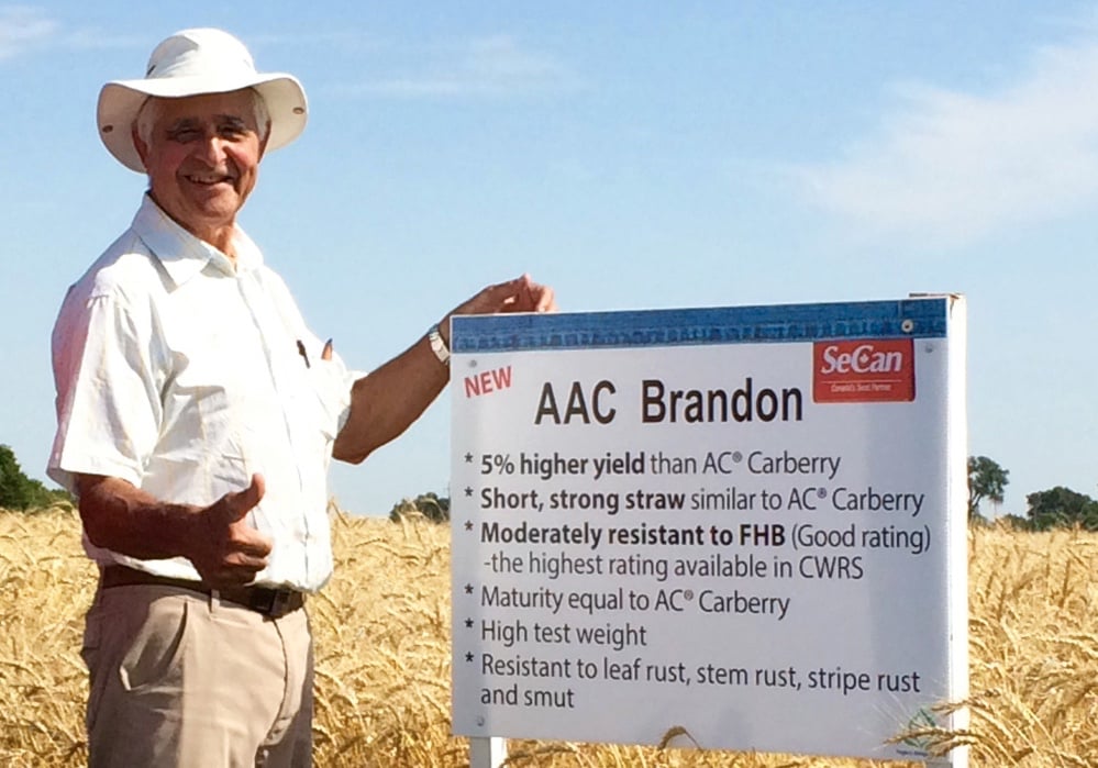 Ron DePauw, creator of AAC Brandon, at a field day where the variety was introduced to growers by SeCan in 2015.