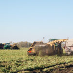 Keystone Potato Growers Association manager Dan Sawatzky says potato growers are hoping for better harvest weather soon so the disastrous harvest of 2018 isn’t repeated.