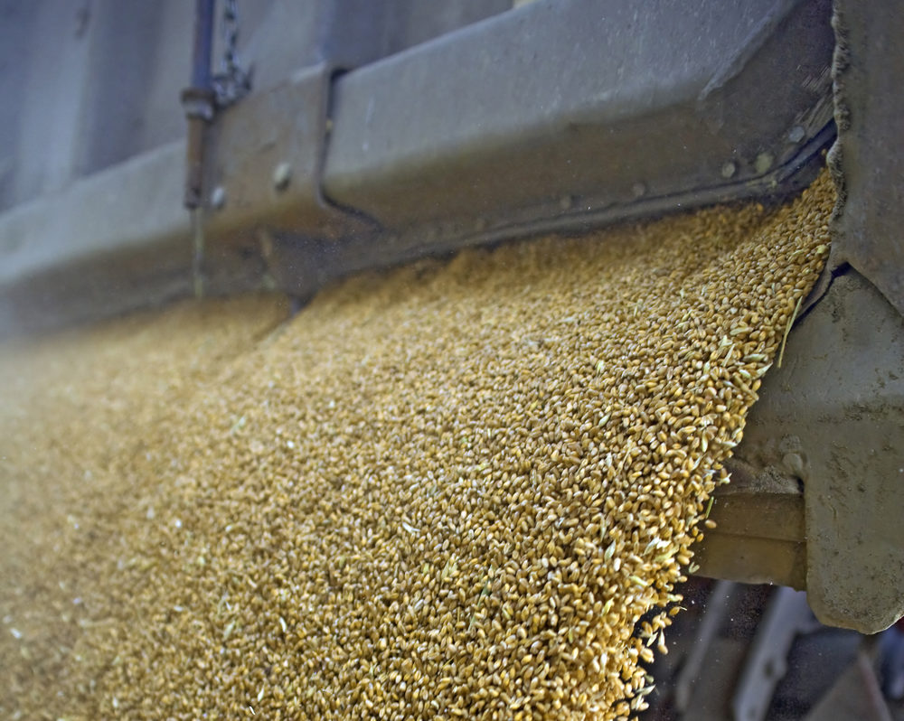 Sixty-five per cent of all farmers surveyed rejected both proposed seed royalty models and 25 per cent said they need more information.