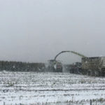 Ian Steppler takes a quick photo from the cab of his truck during heavy snowfall near Deerwood, Man., on Oct. 10.