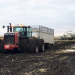 Silage operations near Miami begin again despite the tough conditions after Manitoba’s early brush with winter in mid-October.