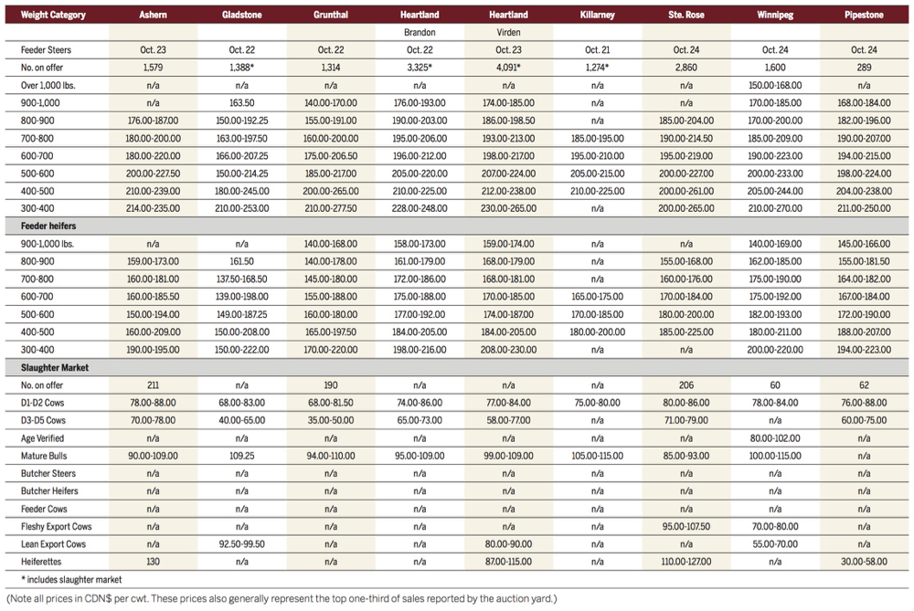 Manitoba livestock auctions.