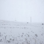 Patches of Manitoba were left in the dark after a history Thanksgiving weekend snow storm.