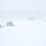 Snow hammered southern Manitoba into the Thanksgiving weekend, leading to widespread road closures and power outages.