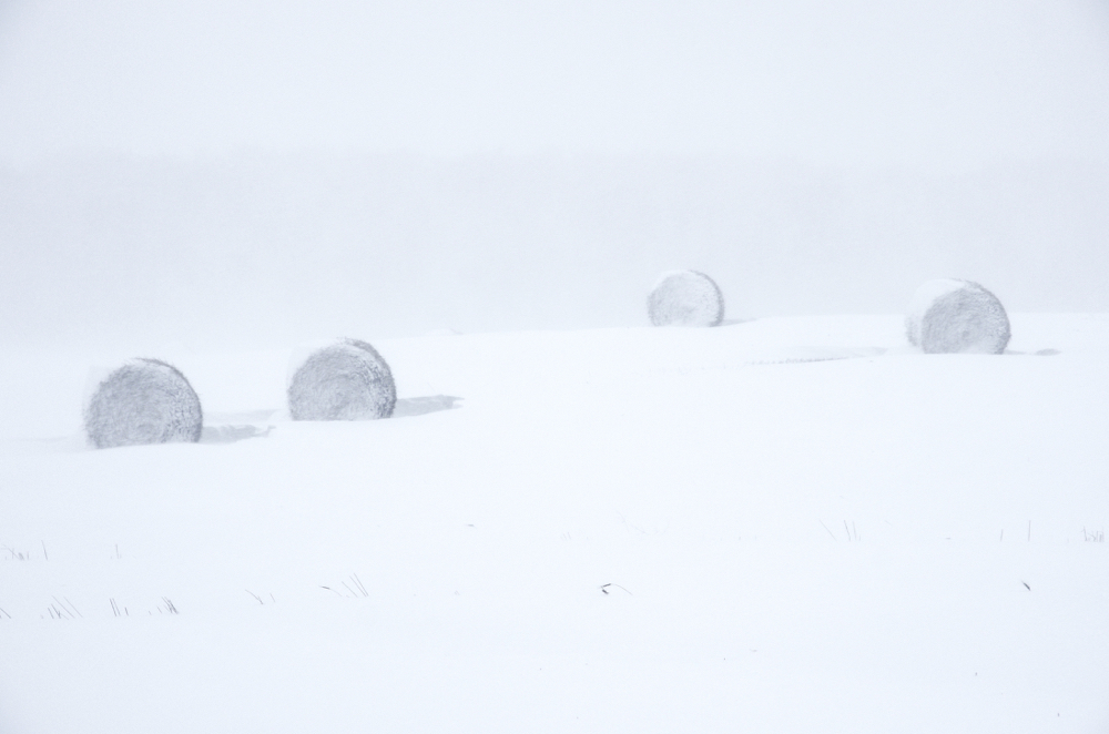 Snow hammered southern Manitoba into the Thanksgiving weekend, leading to widespread road closures and power outages.