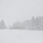 A house and farmyard are obscured by blowing snow as tree branches weighed down by heavy snow bend under the strain.