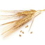 The key issue in the seed royalty debate appears to be that farmers are very reluctant to any system that costs them more money.