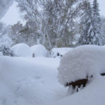 A storm last Thanksgiving weekend brought a lot of snow, and a lot of headaches.