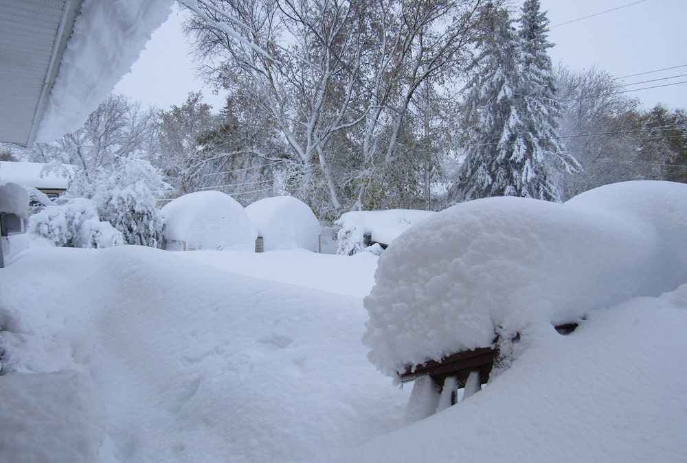 A storm last Thanksgiving weekend brought a lot of snow, and a lot of headaches.
