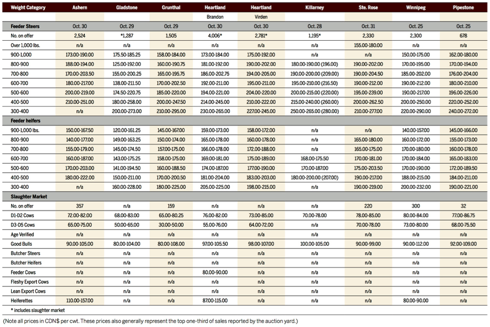 Fall cattle run picks up steam
