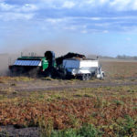 This is how potato harvest should look, but not so for Manitoba potato growers who are now dealing with two bad harvest years in a row.
