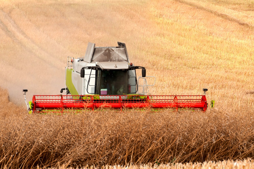 Statistics Canada’s latest crop production estimates report pegged the country’s 2019 canola harvest at only 18.65 million tonnes.