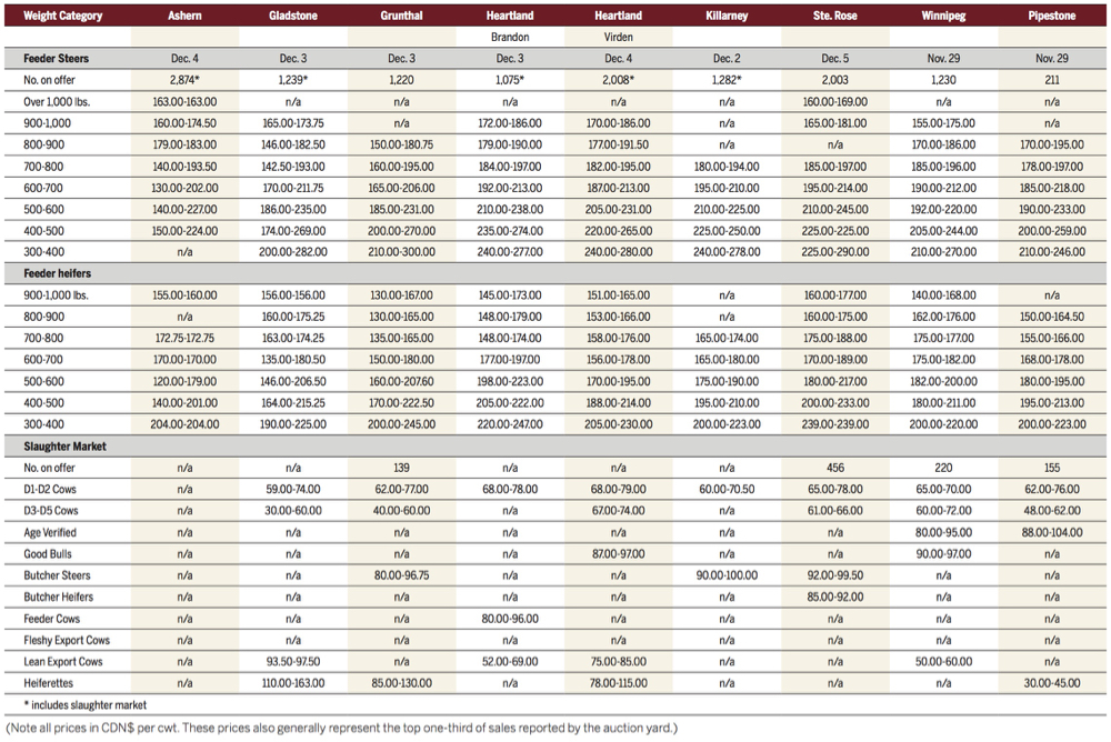 Cattle volumes down from fall run highs