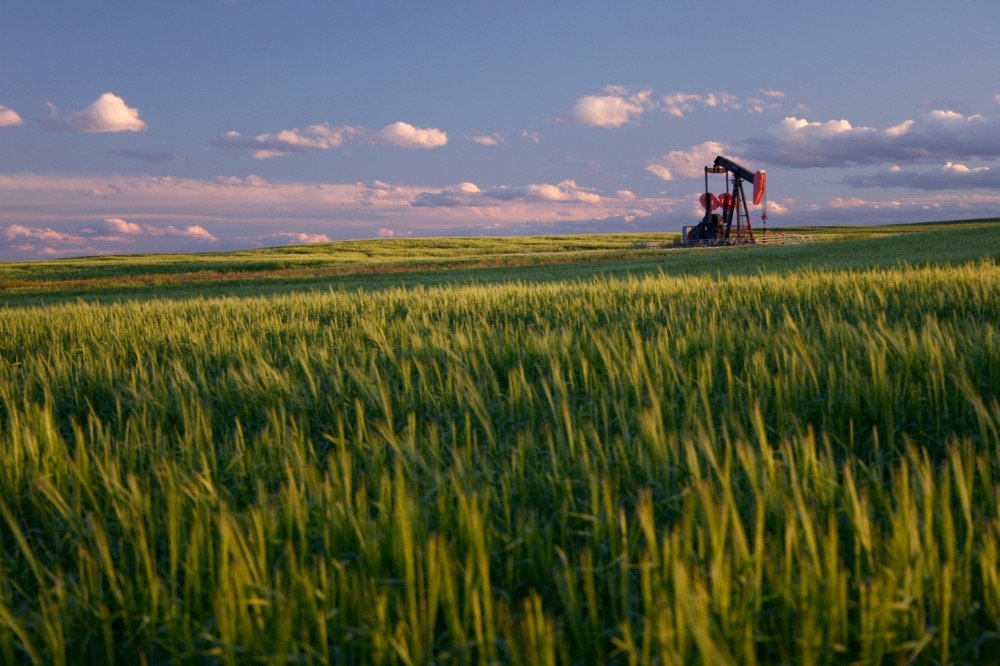 File photo of an Alberta wheat field. (ImagineGolf/E+/Getty Images)

