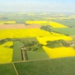 Six tips to successful land rental