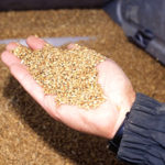 Three steps to make your best grain grade deal