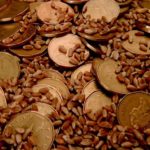 (Country Guide file photo)
