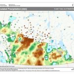 Wet harvests hurt U.S., Canadian spring wheat quality