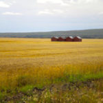 Six habits of highly resilient farmers