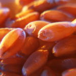 Seven deadly sins of grain marketing