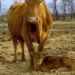 Photo: Debbie Furber
