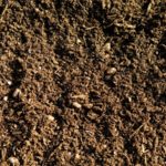 Get the facts before spending big money on micronutrients