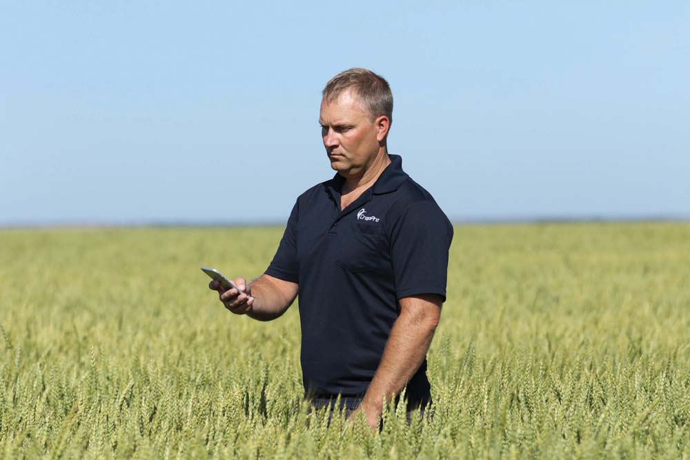 Adding an agronomist to your farm team