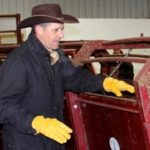 Five tips for easier cattle processing
