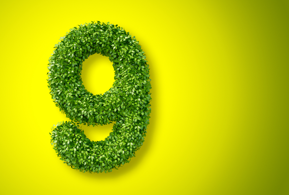 Photo: iStock/Getty Images
