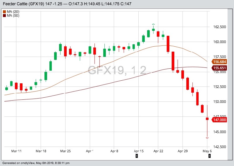 CME November 2019 feeder cattle with 20- and 50-day moving averages. (Barchart)
