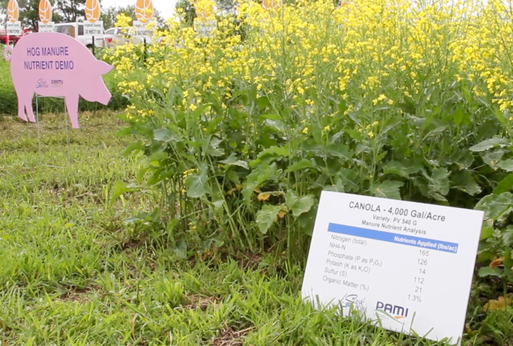 Seeing is believing: Hog manure as fertilizer