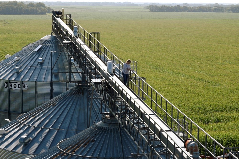 Vanessa Kummer is seen on a storage bin catwalk on her family farm near Colfax, N.D. on Aug. 6, 2019. (Photo: Reuters/Dan Koeck)
