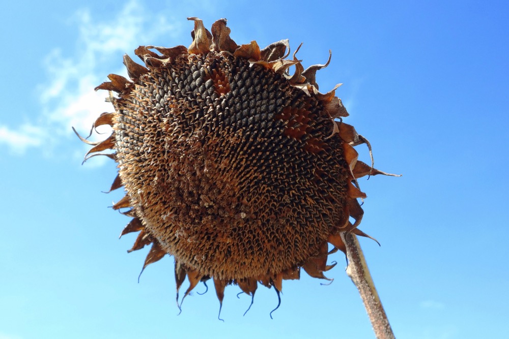 (Yassine Chaachoua/iStock/Getty Images)