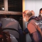Screenshot from a video posted on YouTube showing animal rights activists entering a turkey barn at the Jumbo Valley Hutterite Colony on Labour Day.