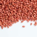 (Syngenta.ca)