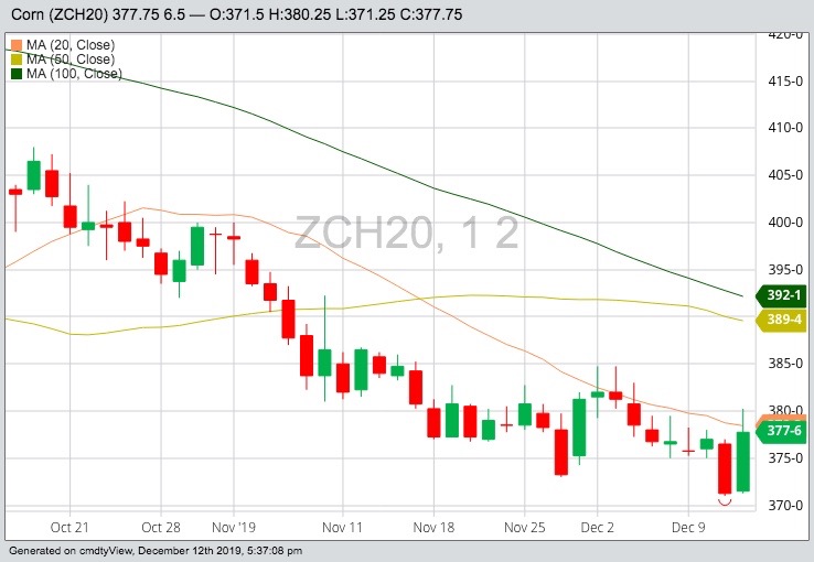 CBOT March 2020 corn with 20-, 50- and 100-day moving averages. (Barchart)
