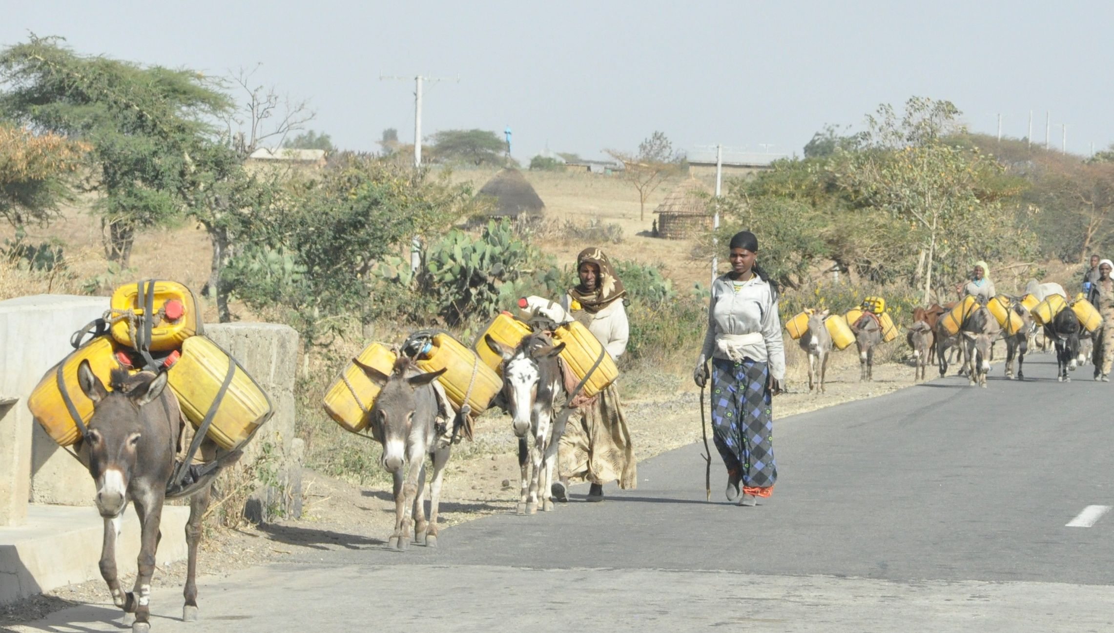The highways in rural Ethiopia resemble sidewalks due to the high volume of pedestrian traffic. (Laura Rance photo) 

