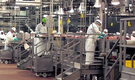 Tyson takes lead with Zilmax ban, higher beef prices may follow