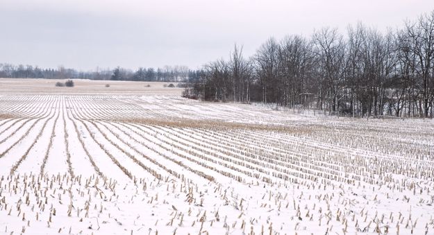 The snow covering this field of corn stubble on Tuesday (April 15) is now mostly gone. (Ralph Pearce photo)
