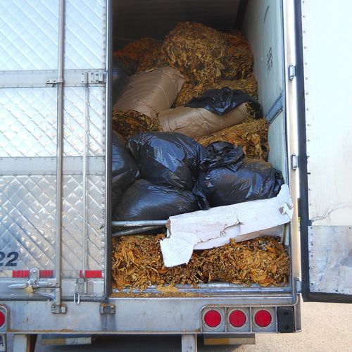 London RCMP estimated the black-market value of the raw leaf tobacco in this trailer at $200,000 to $300,000. (Photo courtesy London RCMP)
