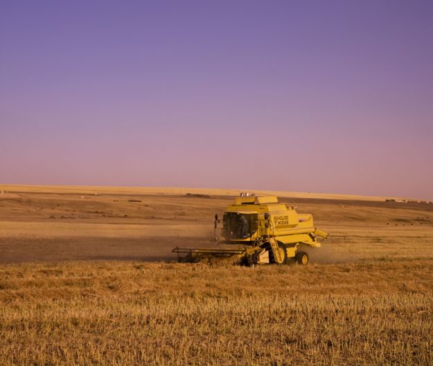 FCC analyst James Bryan warns crop prices are expected to be lower by the 2014 harvest compared to the previous year’s. (Canada Beef Inc. photo)
