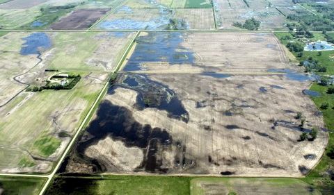 Acres too wet to seed on June 9, 2014, between Elva and Melita, Man., about 150 km east of Estevan, Sask. (Photo by Sylvia MacBean for the Manitoba Co-operator)

