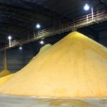 DDGS in storage in Iowa. (Steven Vaughn photo courtesy ARS/USDA)

