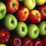 (Scott Bauer photo courtesy ARS/USDA)
